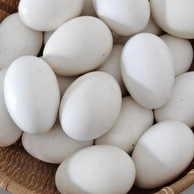 鹅蛋（枚）