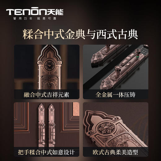 亚太天能别墅豪宅指纹锁F8双开锁欧式古典智能门锁 商品图2