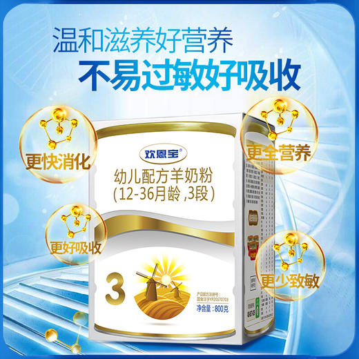 欢恩宝羊奶粉3段800g宝宝婴儿奶粉【 欢恩宝】 商品图1