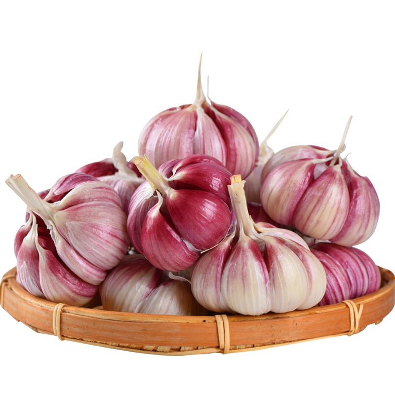 精品菜：新大蒜500g