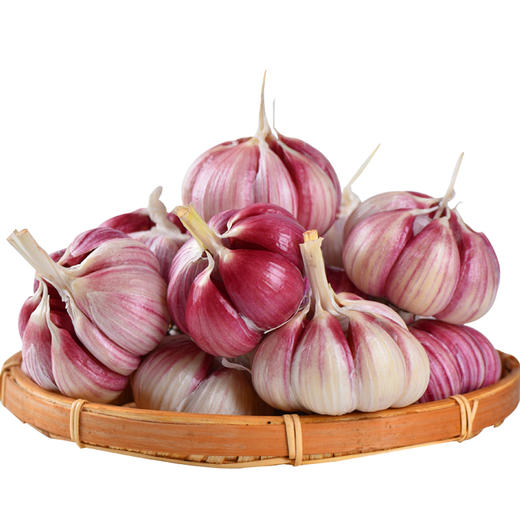 精品菜：新大蒜500g 商品图0