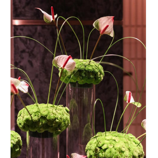 前台花54 商品图1