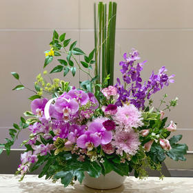 前台花14