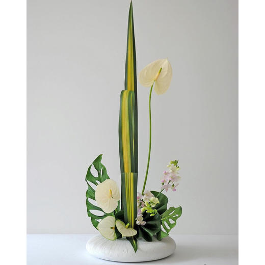 前台花84（8款可选） 商品图3