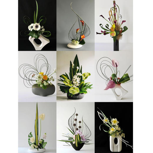 前台花84（8款可选） 商品图0