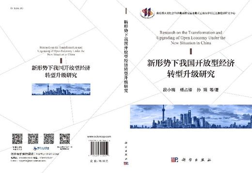 新形势下我国开放型经济转型升级研究/段小梅等 商品图3