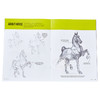 预售 【中商原版】如何绘画系列：马 英文原版 Drawing: Horses: Learn to draw step by step (How to Draw & Paint) 素描技巧 商品缩略图4