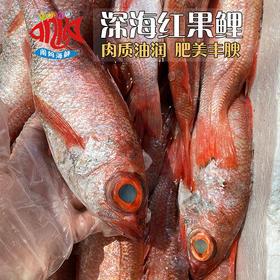 【闹妈海鲜】[热气]舟山深海红果鲤