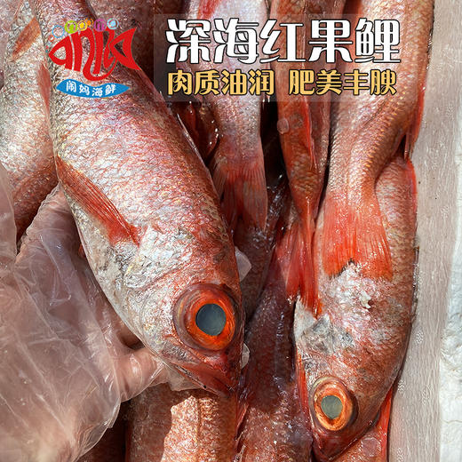 【闹妈海鲜】[热气]舟山深海红果鲤 商品图0
