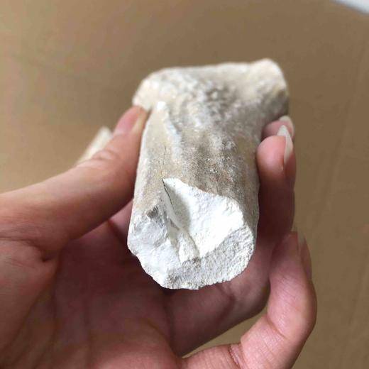 仙蒙道地堂 鹿角霜500克 1000克 商品图3