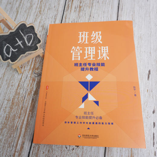 班级管理课 班主任专业技能提升教程 大夏书系 陈宇著 教师读物 班主任专业技能提升必备 正版 华东师范大学出版社 商品图1