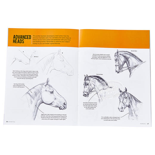 预售 【中商原版】如何绘画系列：马 英文原版 Drawing: Horses: Learn to draw step by step (How to Draw & Paint) 素描技巧 商品图3