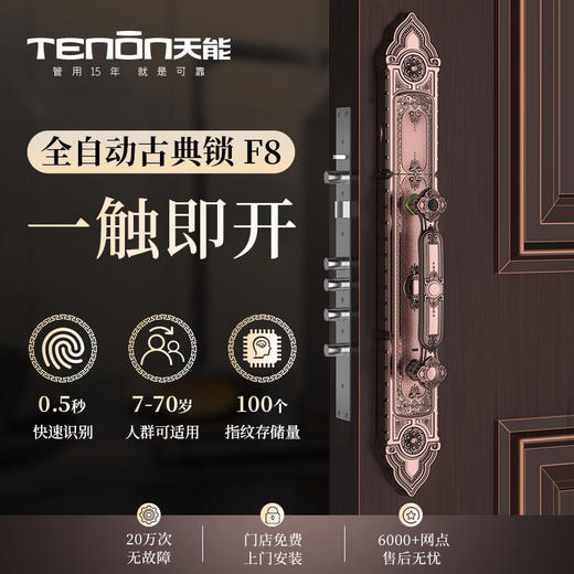 亚太天能别墅豪宅指纹锁F8双开锁欧式古典智能门锁 商品图8