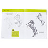 预售 【中商原版】如何绘画系列：马 英文原版 Drawing: Horses: Learn to draw step by step (How to Draw & Paint) 素描技巧 商品缩略图5