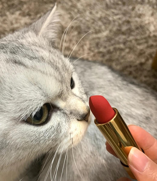 古驰Gucci 口红哑光25色 商品图2