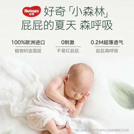 【2包装】好奇心钻小森林系列(旗舰店版) 商品图1