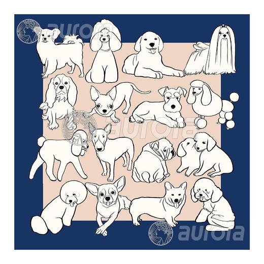 奥罗拉桑蚕丝巾/萌萌/B3-009 商品图0