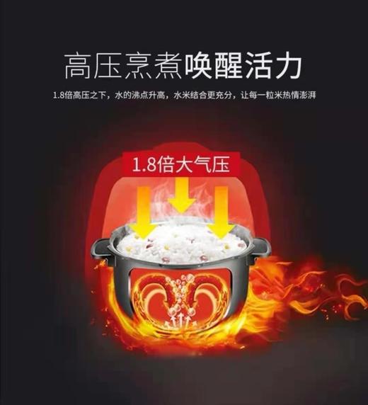 7F cuckoo福库原装进口电压力饭煲CRP-PK1088FG 商品图3