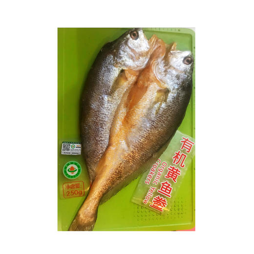 有机黄鱼鲞 商品图0