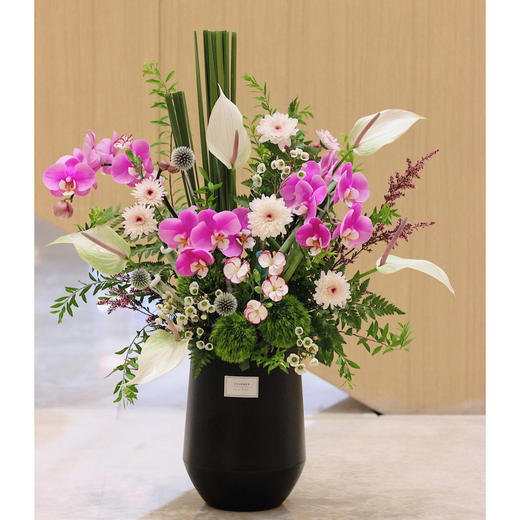 前台花81 商品图0