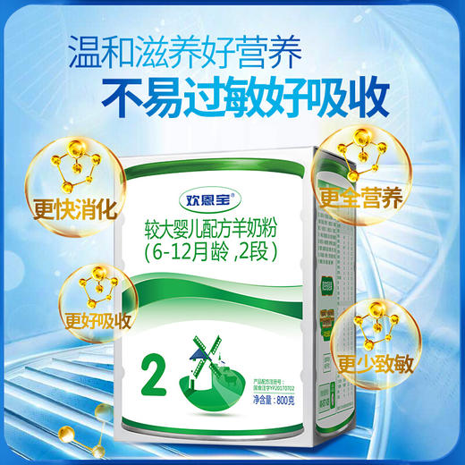 欢恩宝羊奶粉2段800g宝宝婴儿奶粉【 欢恩宝】 商品图1