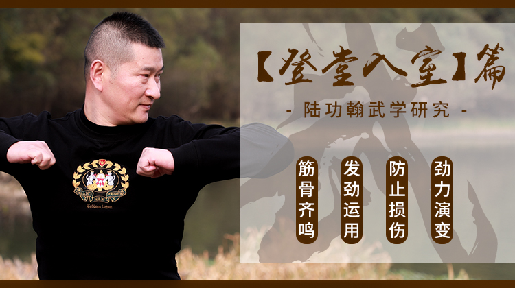 【登堂入室】--陆功翰武学研究