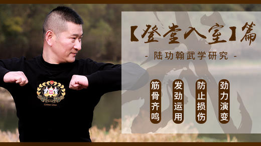 赠【登堂入室】--陆功翰武学研究 商品图0