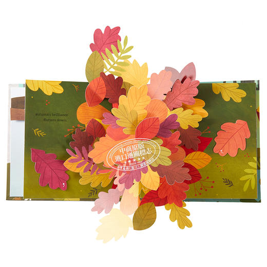 【中商原版】四季立体书系列：树叶 纸艺设计师Yoojin Kim 插画师Lindsay Dale-Scott 英文原版 Leaves : An Autumn Pop-Up Book 商品图3