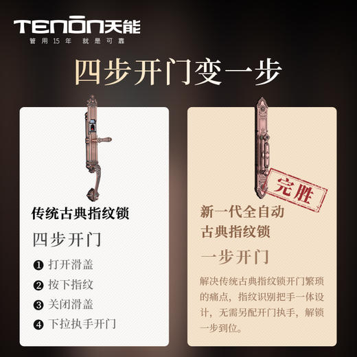 亚太天能别墅豪宅指纹锁F8双开锁欧式古典智能门锁 商品图5