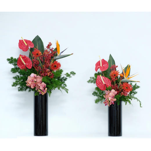 前台花76 商品图1