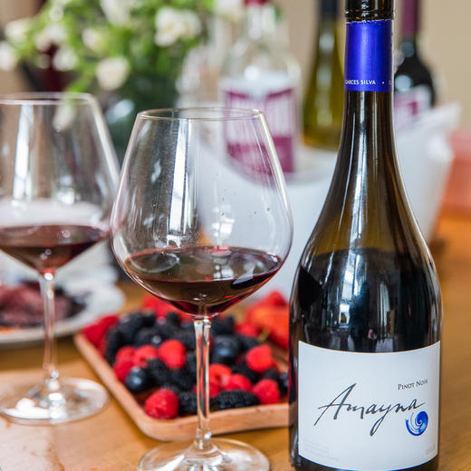 蓝色幻想黑皮诺干红葡萄酒2019年 商品图1