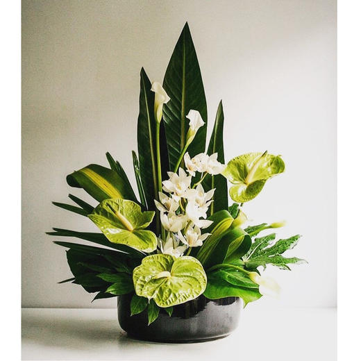 前台花84（8款可选） 商品图5