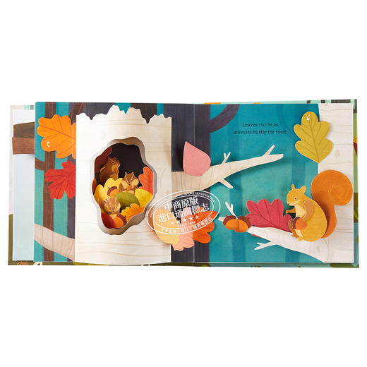 【中商原版】四季立体书系列：树叶 纸艺设计师Yoojin Kim 插画师Lindsay Dale-Scott 英文原版 Leaves : An Autumn Pop-Up Book 商品图4