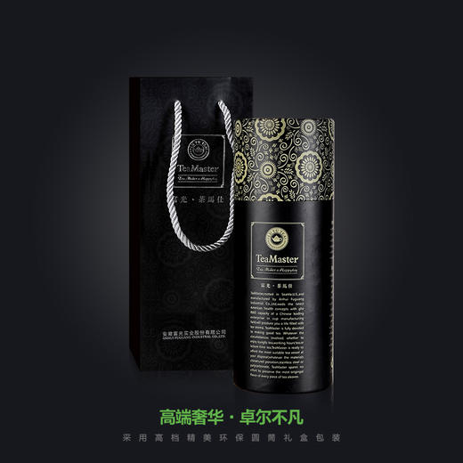 茶马仕格调生态杯（瓷胆）TM-2047 商品图4