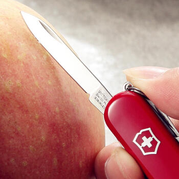 维氏军刀0.6223+指甲钳（小）NAILCLIPPER-SMALL 商品图3