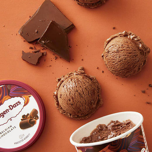 哈根达斯巧克力味冰激凌81g 商品图1