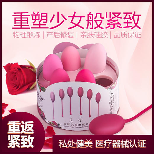 斯汉德产前缩Y球SHD-S223 Rose 月季 多球组合浅粉至深红 商品图0