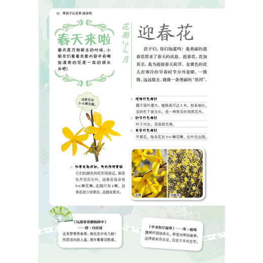 带孩子认花草 读诗词 商品图6