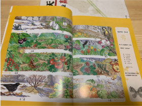 《法国版十万个为什么》：这本书的内容编排很有意思