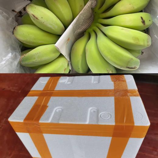 广西苹果蕉 粉蕉 非小米蕉  新鲜采摘 香甜软糯 商品图8