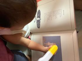 《一个孩子的诗园》：伴着美妙的音乐听着纯正的朗读，再繁杂的心情都能安静下来