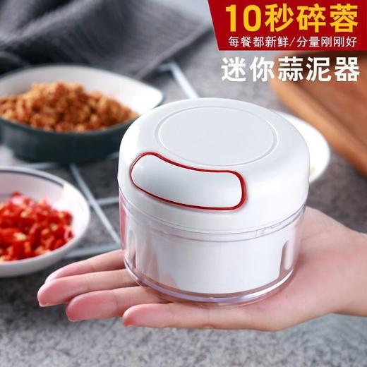 【家用压蒜捣蒜泥】迷你家用蒜蓉器手动小型厨房用品蒜末粉碎辅食 商品图0