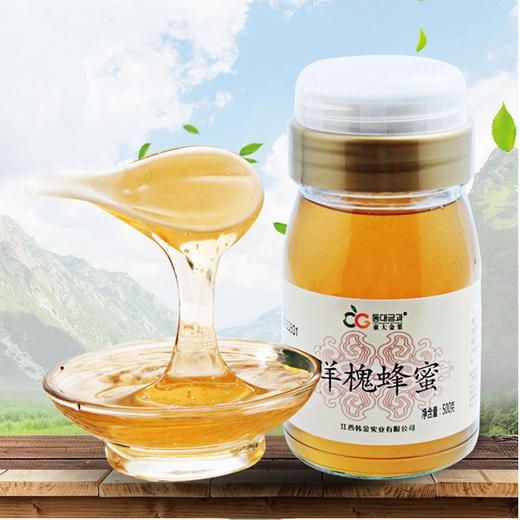 【14.5元/瓶】东大金果斜嘴洋槐/花圣斜嘴枣花蜂蜜500ML 商品图1