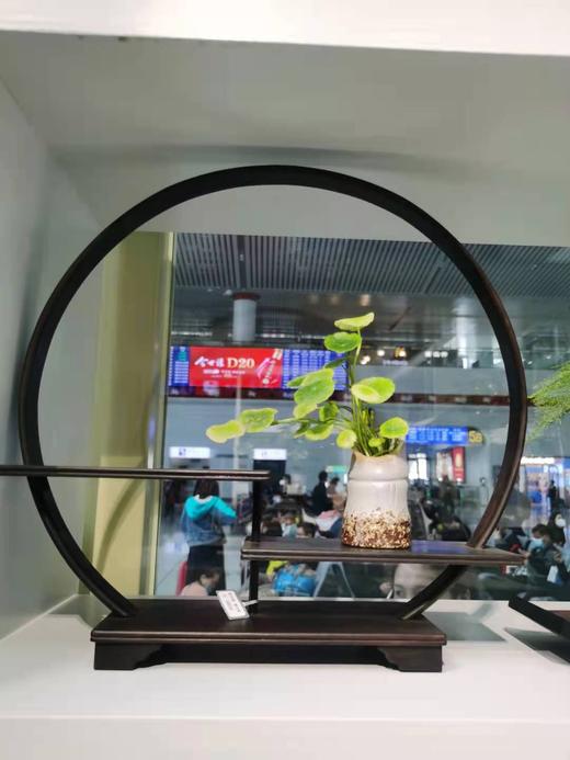 全圆博古架°小号 商品图2