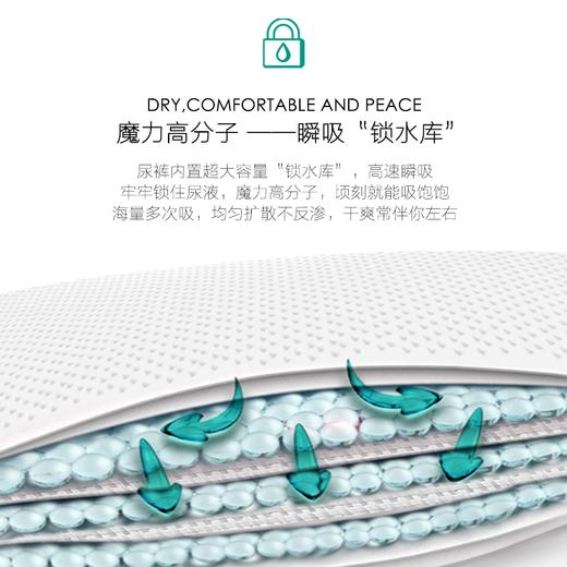 纸尿裤：beaba碧芭宝贝丛林狂想曲系列 商品图2