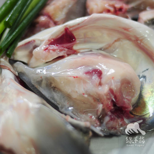 生态大头鱼分段 | 合作生产 * Eco-bighead Carp | Coproduction 商品图4