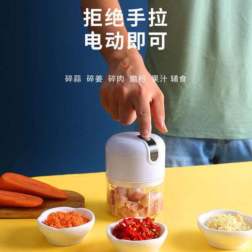 【家用绞肉机】电动蒜蓉机捣蒜泥小型切打压剥蒜器搅碎机厨房电器 商品图4