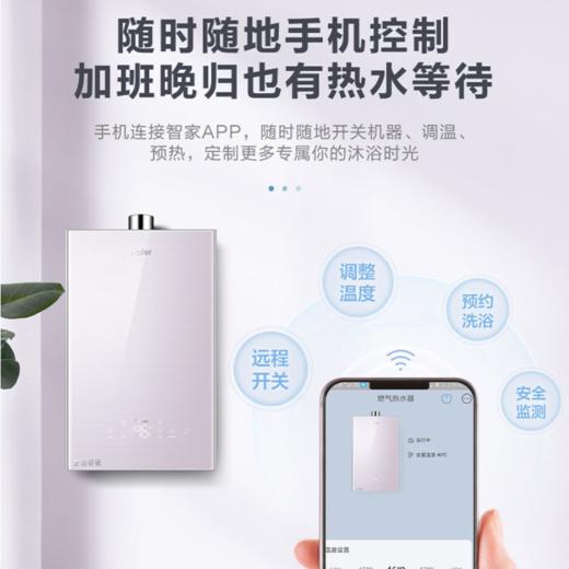 海尔（Haier）燃气热水器JSQ25-13Q3BPU1 商品图5