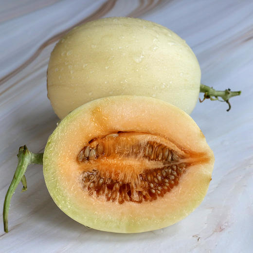 【新品上市·头茬尝鲜】陕西头茬阎良甜瓜 白皮白肉小籽爆甜当季新鲜蜜瓜 当季新鲜水果 现摘现发 商品图1