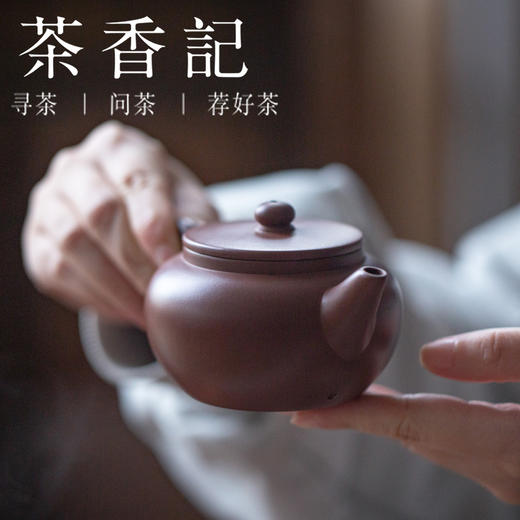 茶香记 平盖水平壶 80年代老拼紫泥 徐昇 经典器型 气韵饱满 商品图4